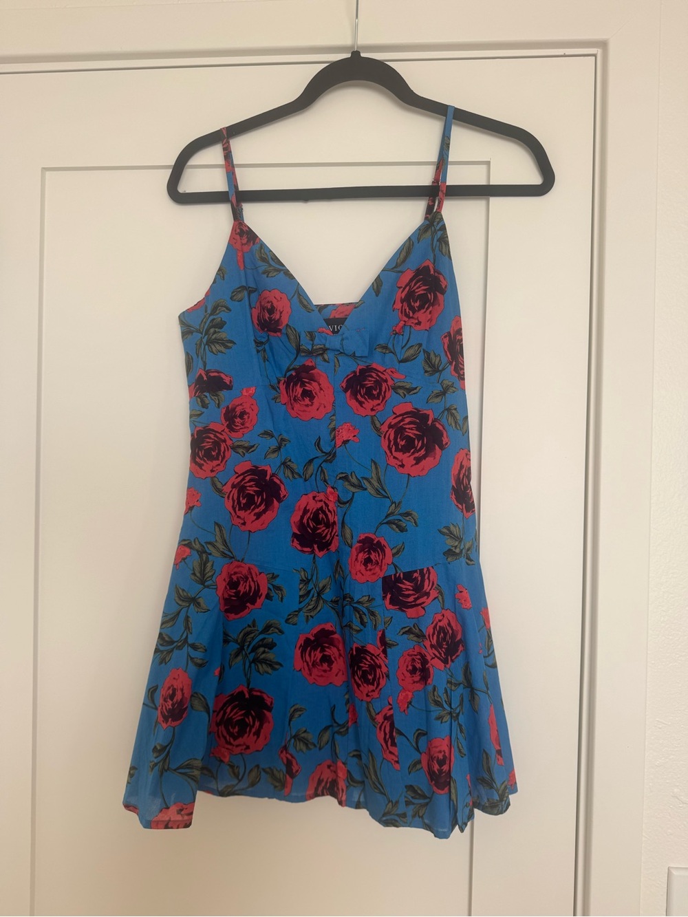 Vici Blue Slip Dress with Red Rose Print